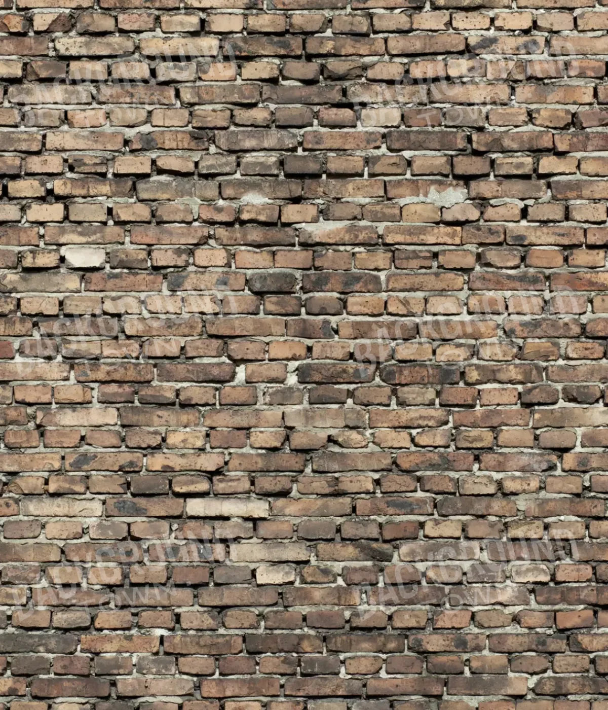 Guard 10’X12’ Ultracloth (120 X 144 Inch) Backdrop