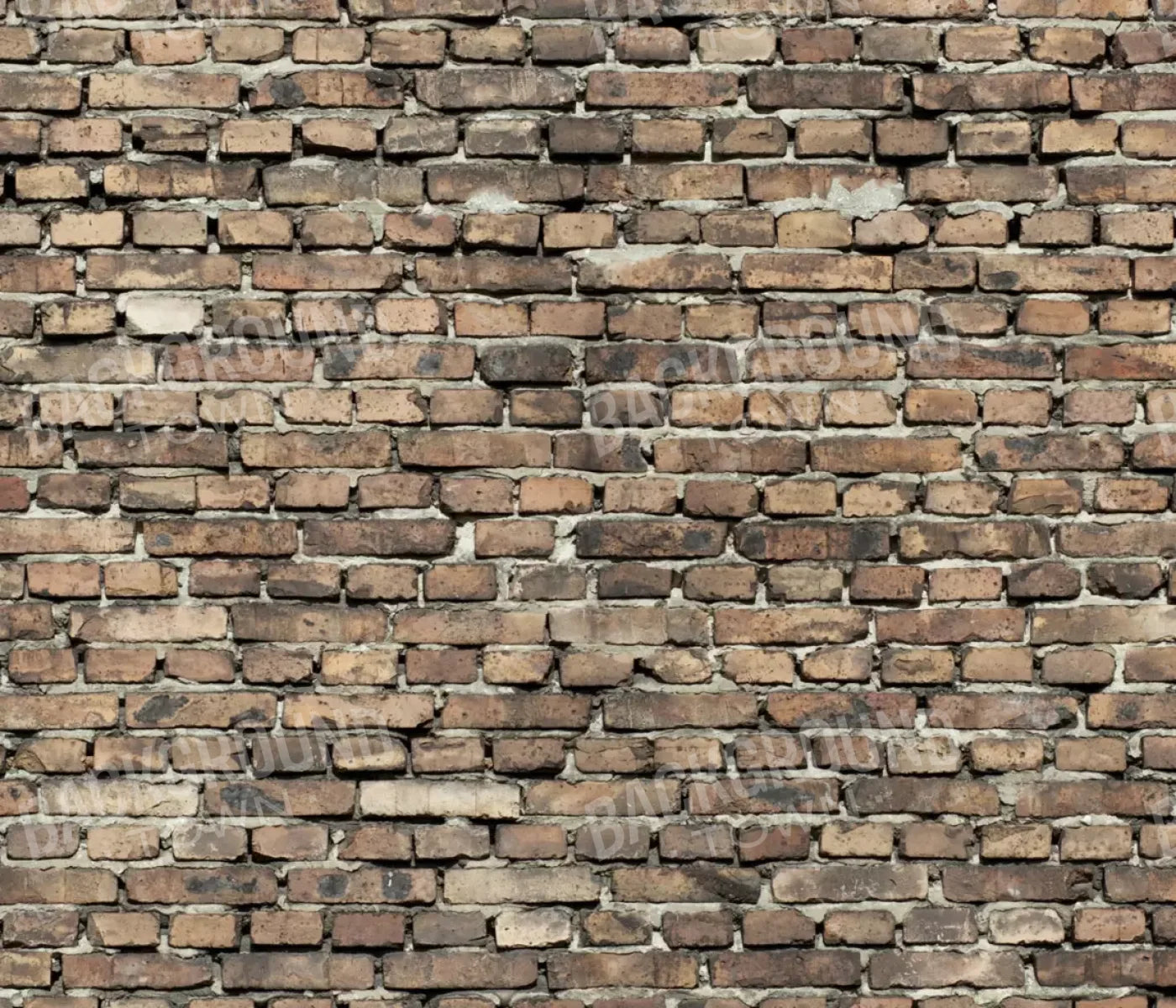 Guard 12’X10’ Ultracloth (144 X 120 Inch) Backdrop