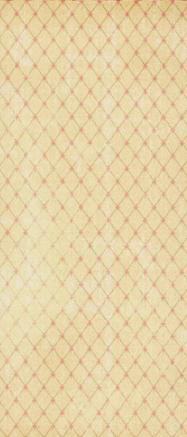 Hannah 5X12 Ultracloth For Westcott X-Drop ( 60 X 144 Inch ) Backdrop