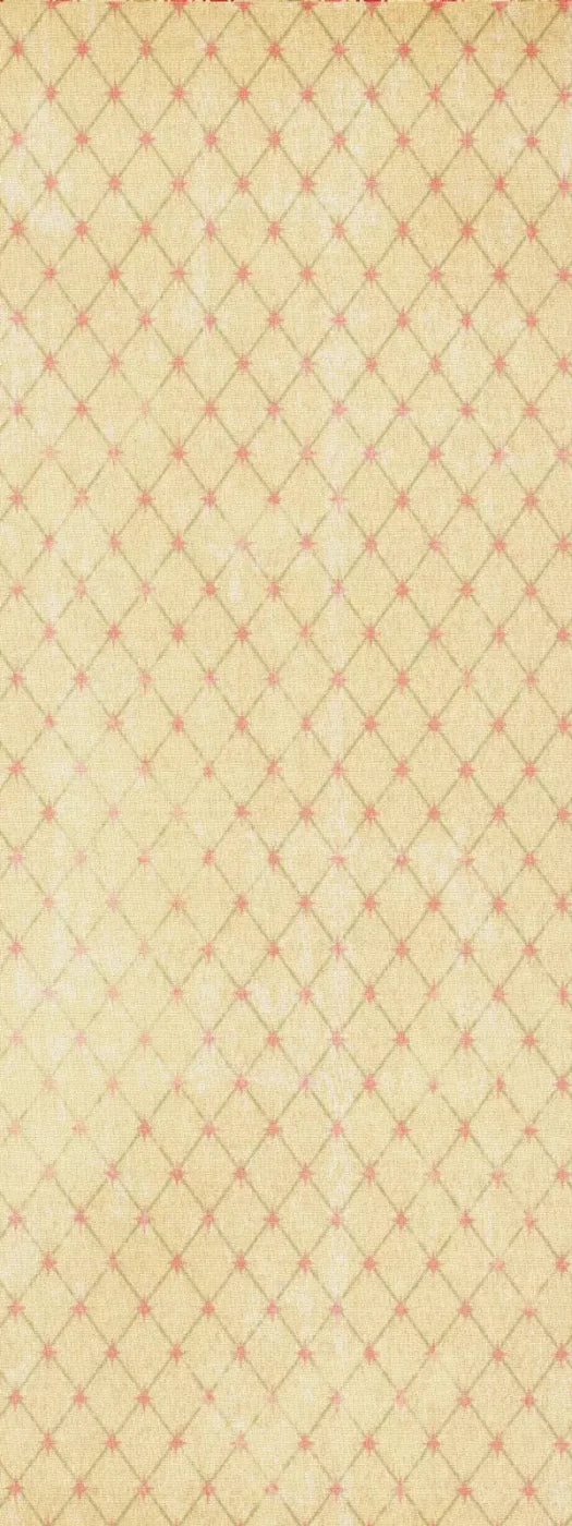Hannah 8X20 Ultracloth ( 96 X 240 Inch ) Backdrop
