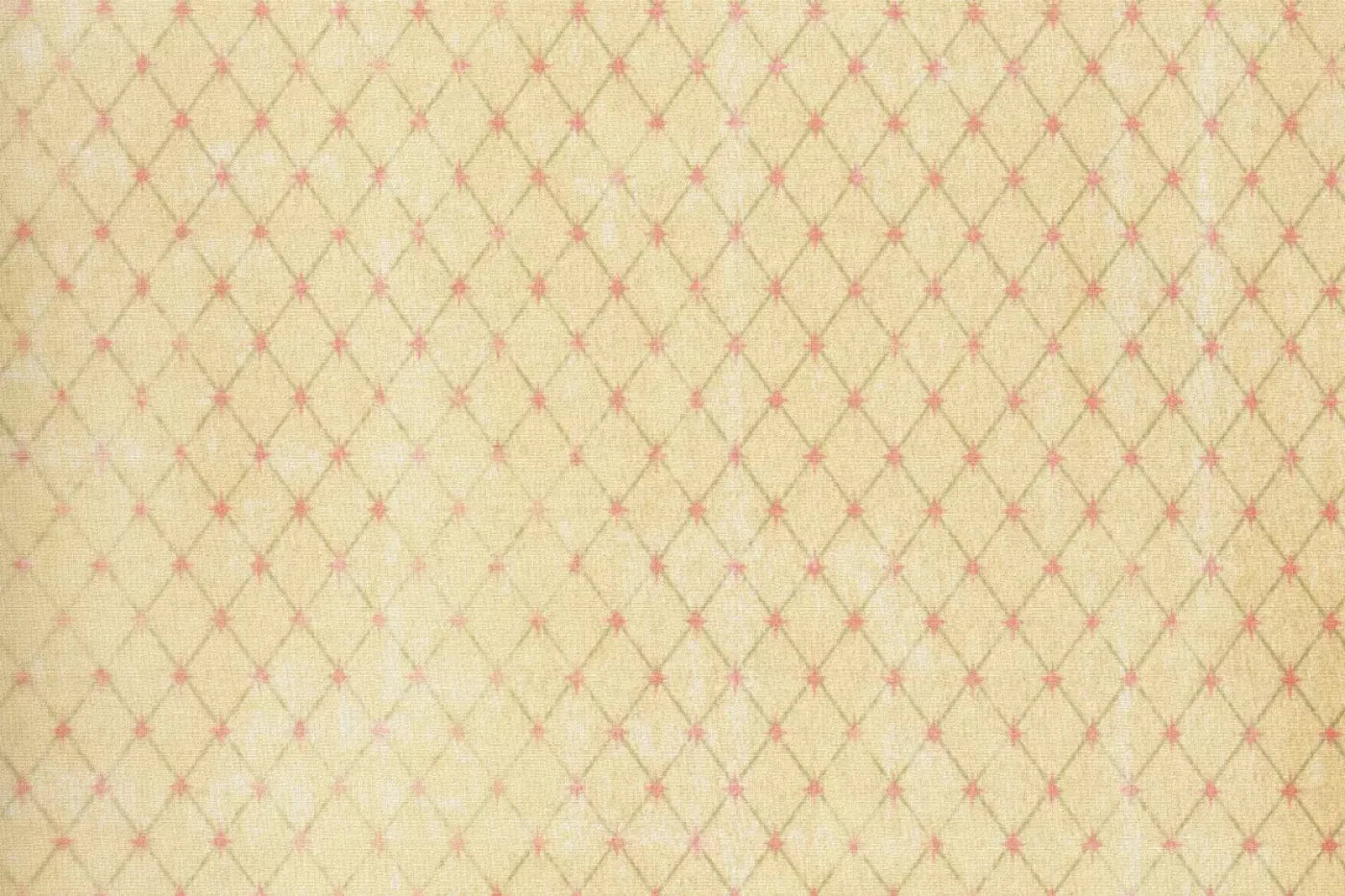 Hannah 8X5 Ultracloth ( 96 X 60 Inch ) Backdrop