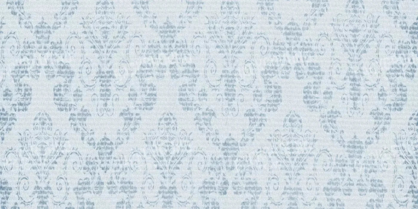 Hansel 20X10 Ultracloth ( 240 X 120 Inch ) Backdrop