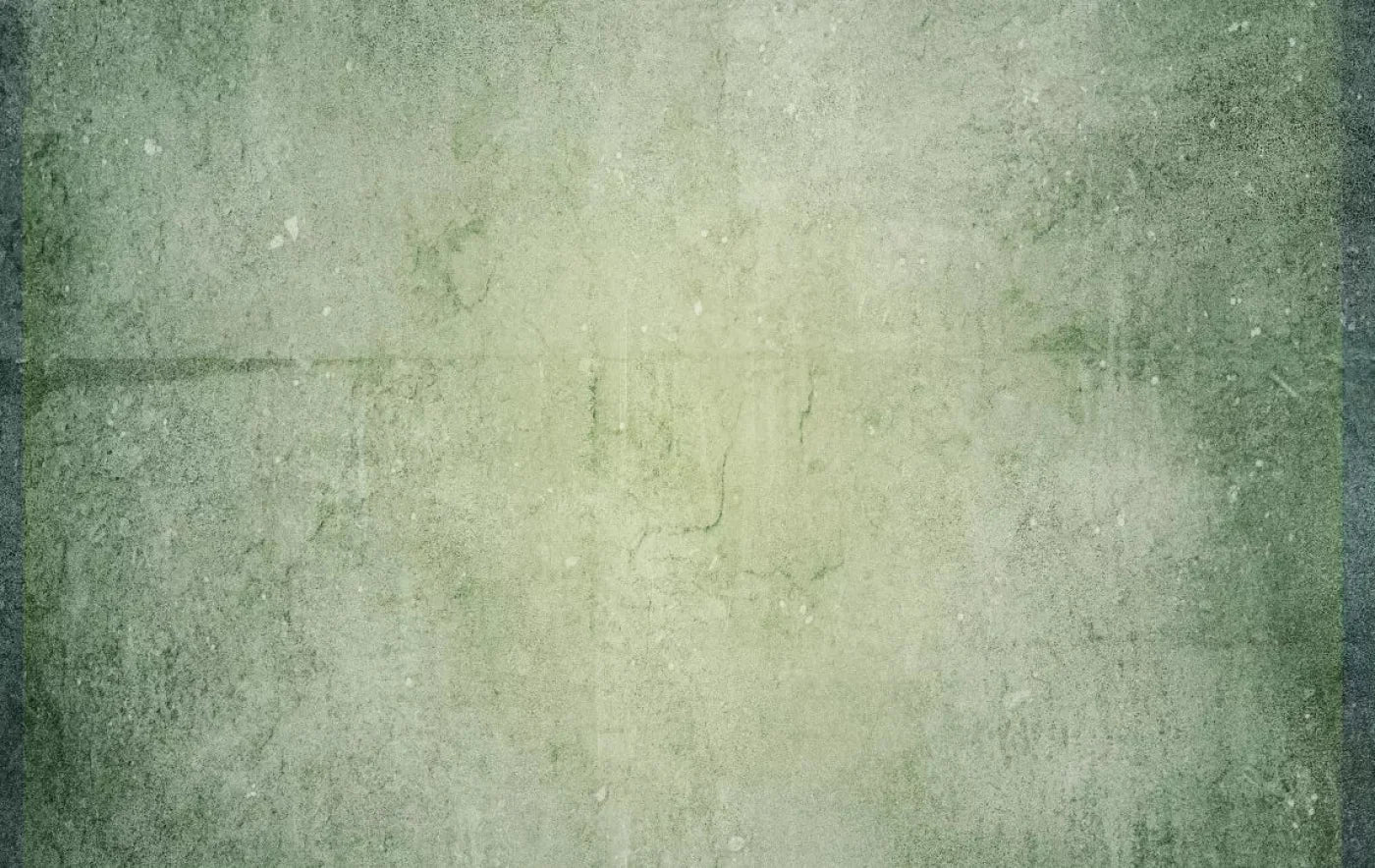 Hanson 16X10 Ultracloth ( 192 X 120 Inch ) Backdrop