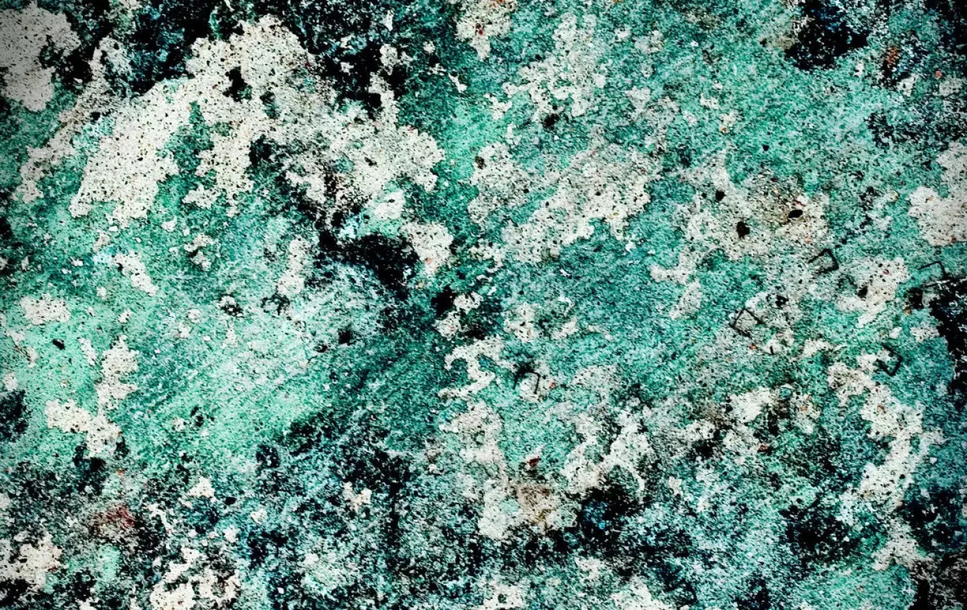 Harsh 16X10 Ultracloth ( 192 X 120 Inch ) Backdrop