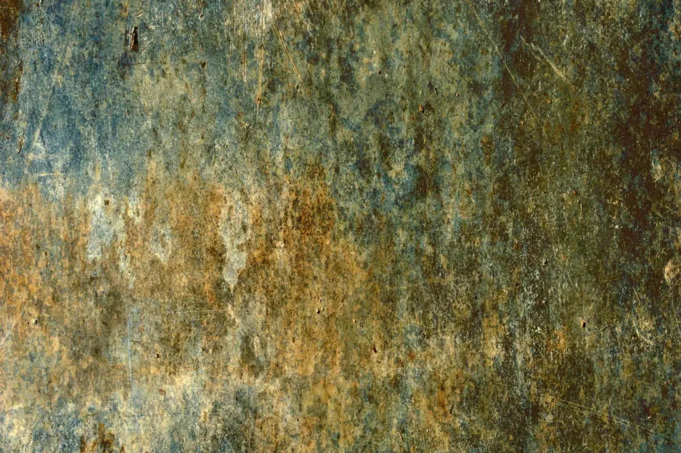 Hassel Backdrop