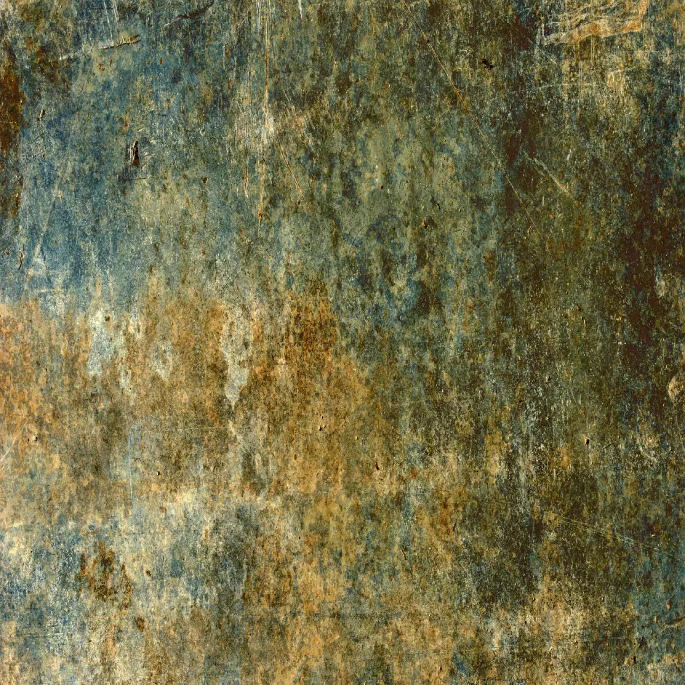 Hassel Backdrop