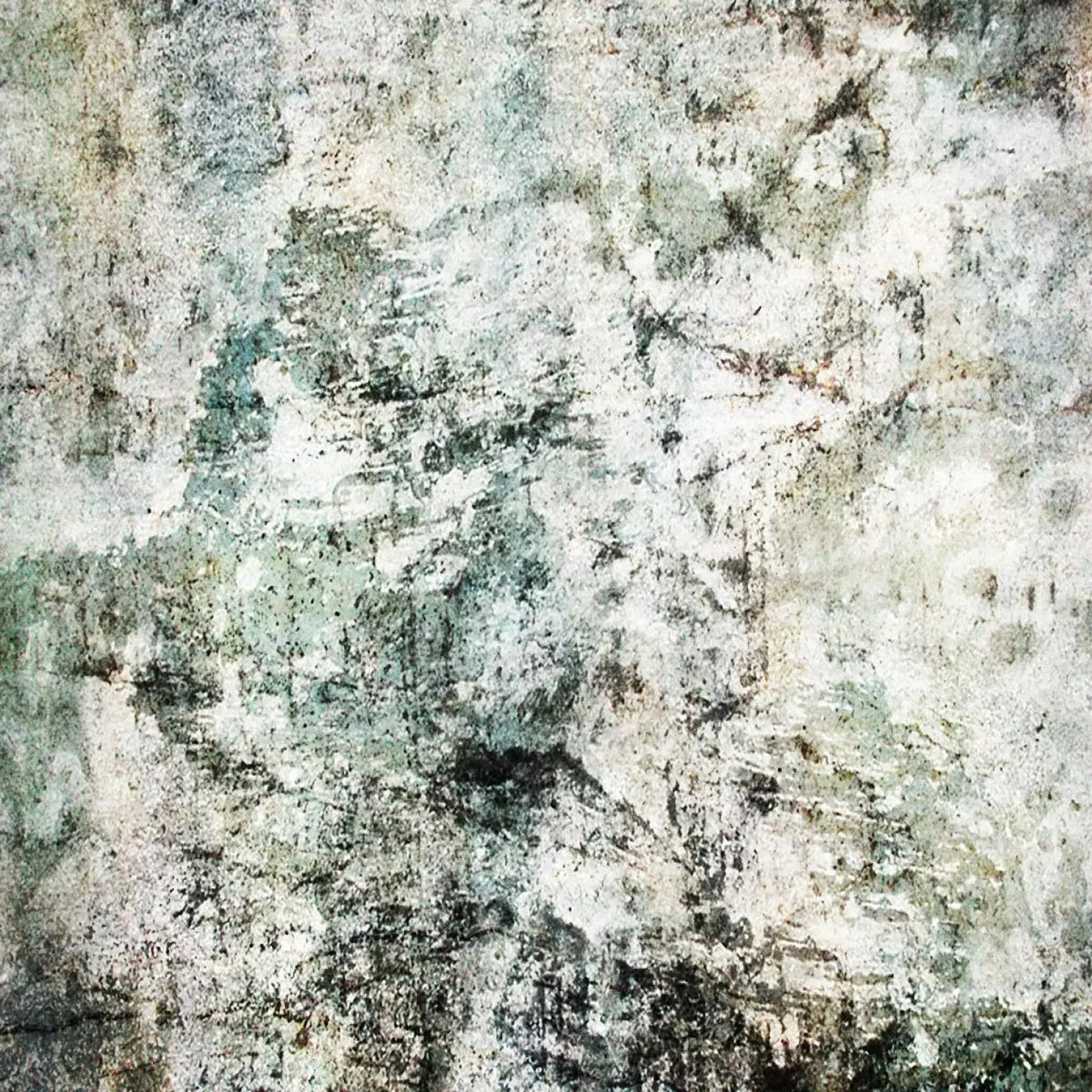 Hayden Backdrop
