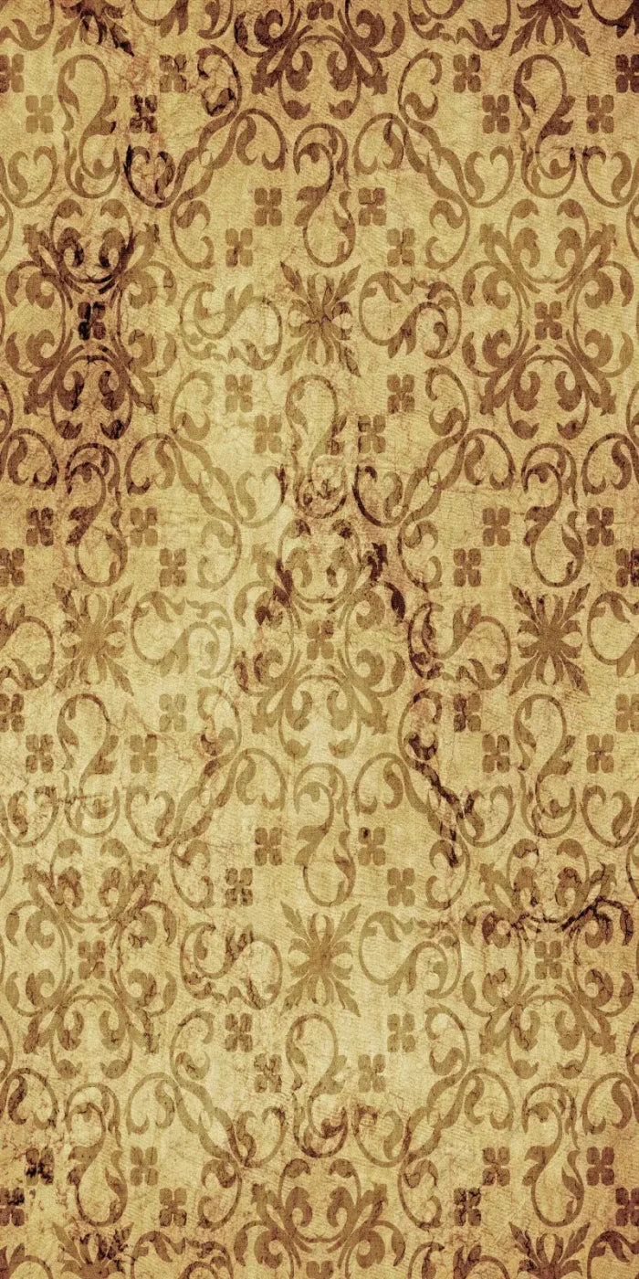 Heirloom 10X20 Ultracloth ( 120 X 240 Inch ) Backdrop