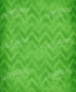 Green Pattern Backdrop for Photography