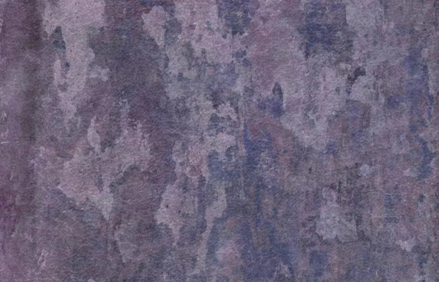 Henrietta 12X8 Ultracloth ( 144 X 96 Inch ) Backdrop
