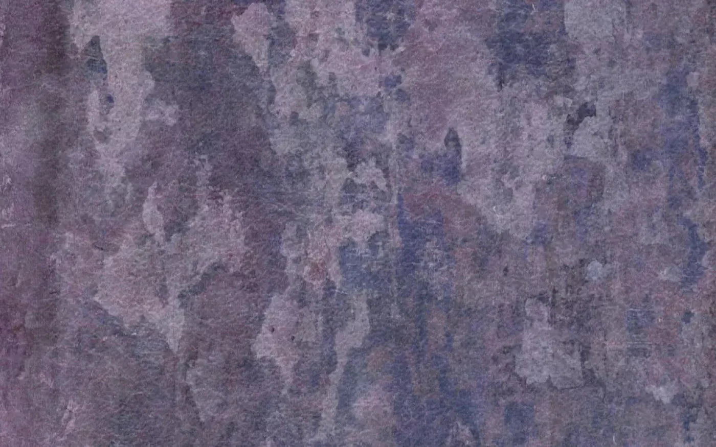 Henrietta 14X9 Ultracloth ( 168 X 108 Inch ) Backdrop