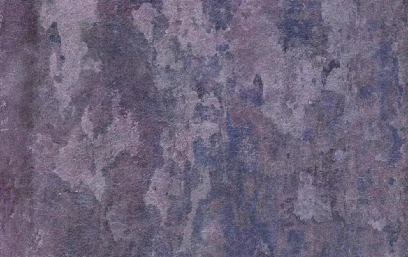 Henrietta 16X10 Ultracloth ( 192 X 120 Inch ) Backdrop