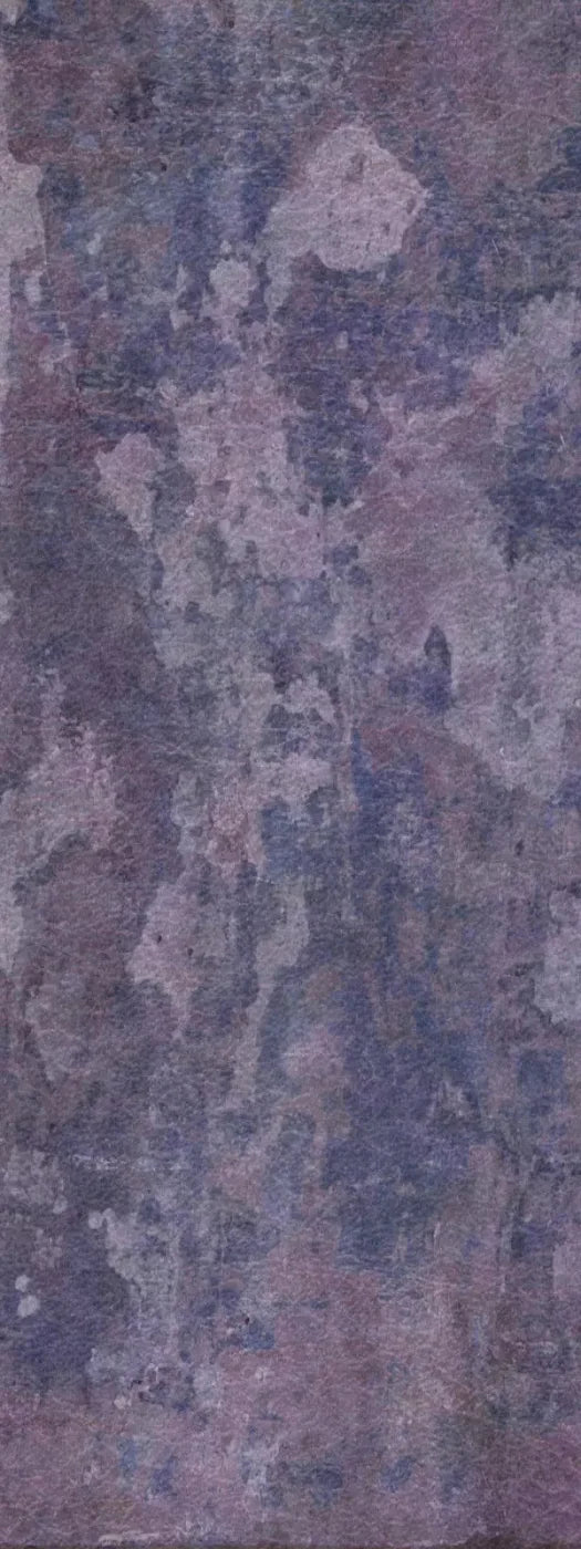 Henrietta 8X20 Ultracloth ( 96 X 240 Inch ) Backdrop