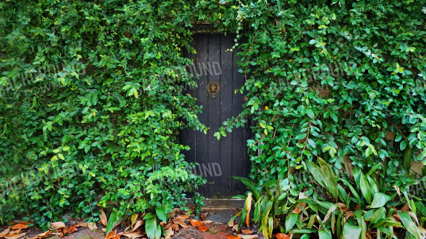 Hidden Door 14’X8’ Ultracloth (168 X 96 Inch) Backdrop