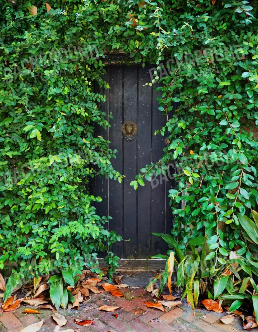 Hidden Door 6’X8’ Fleece (72 X 96 Inch) Backdrop