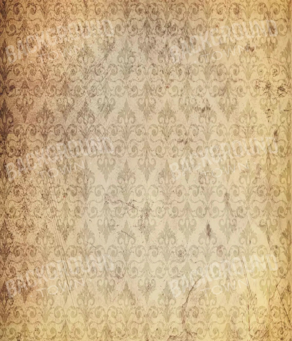 History 10X12 Ultracloth ( 120 X 144 Inch ) Backdrop