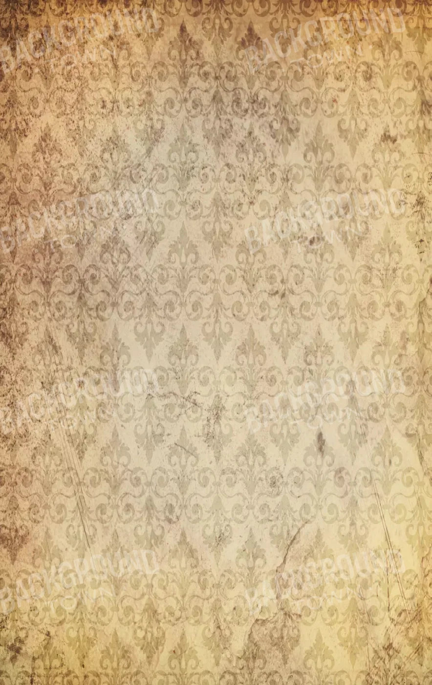 History 10X16 Ultracloth ( 120 X 192 Inch ) Backdrop