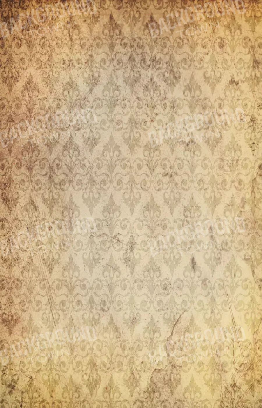 History 8X12 Ultracloth ( 96 X 144 Inch ) Backdrop