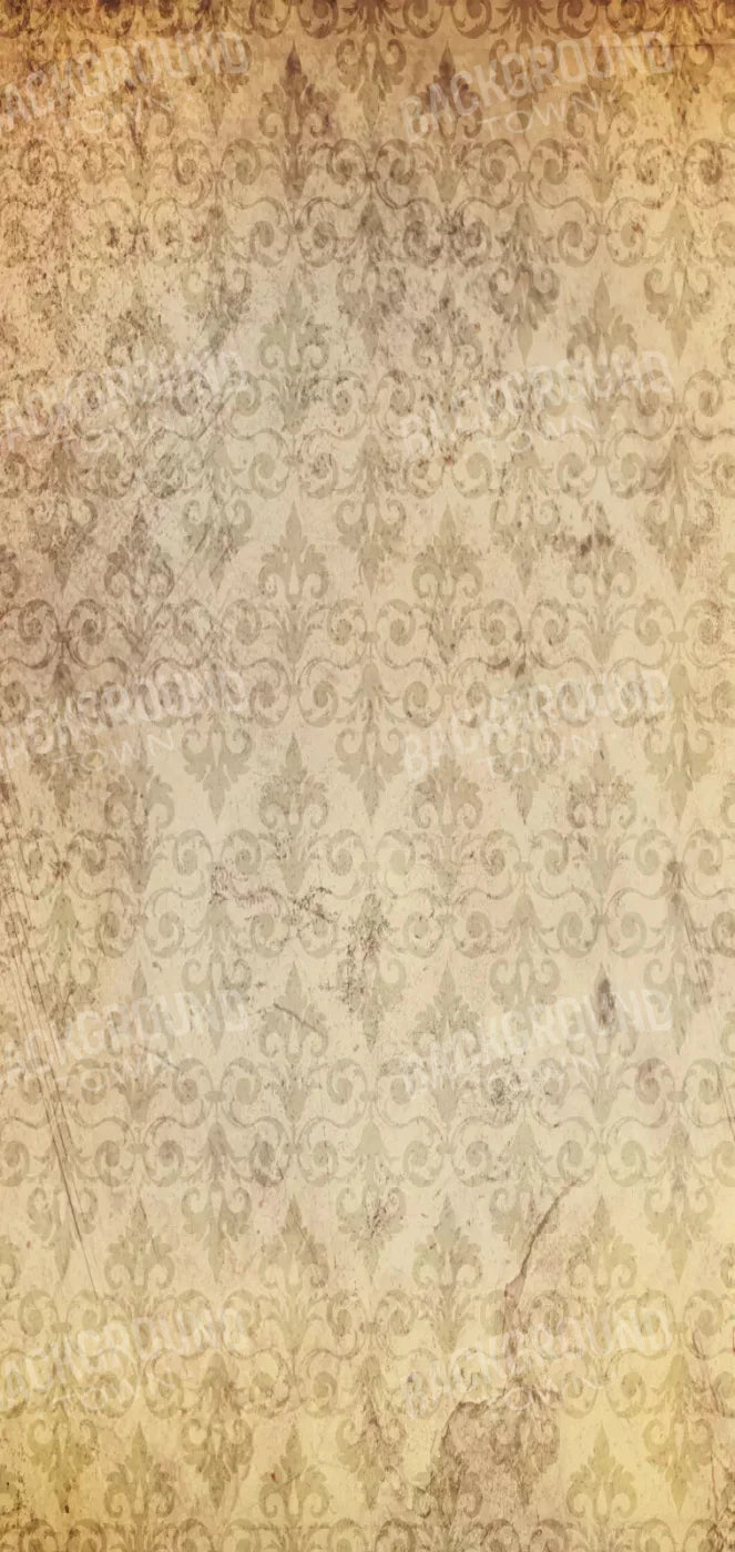 History 8X16 Ultracloth ( 96 X 192 Inch ) Backdrop