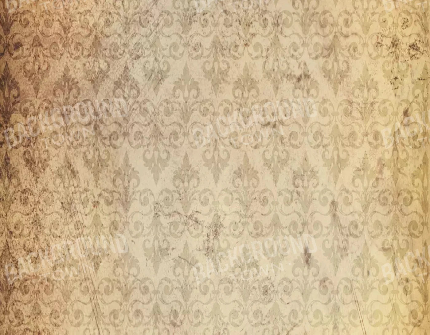 History 8X6 Fleece ( 96 X 72 Inch ) Backdrop