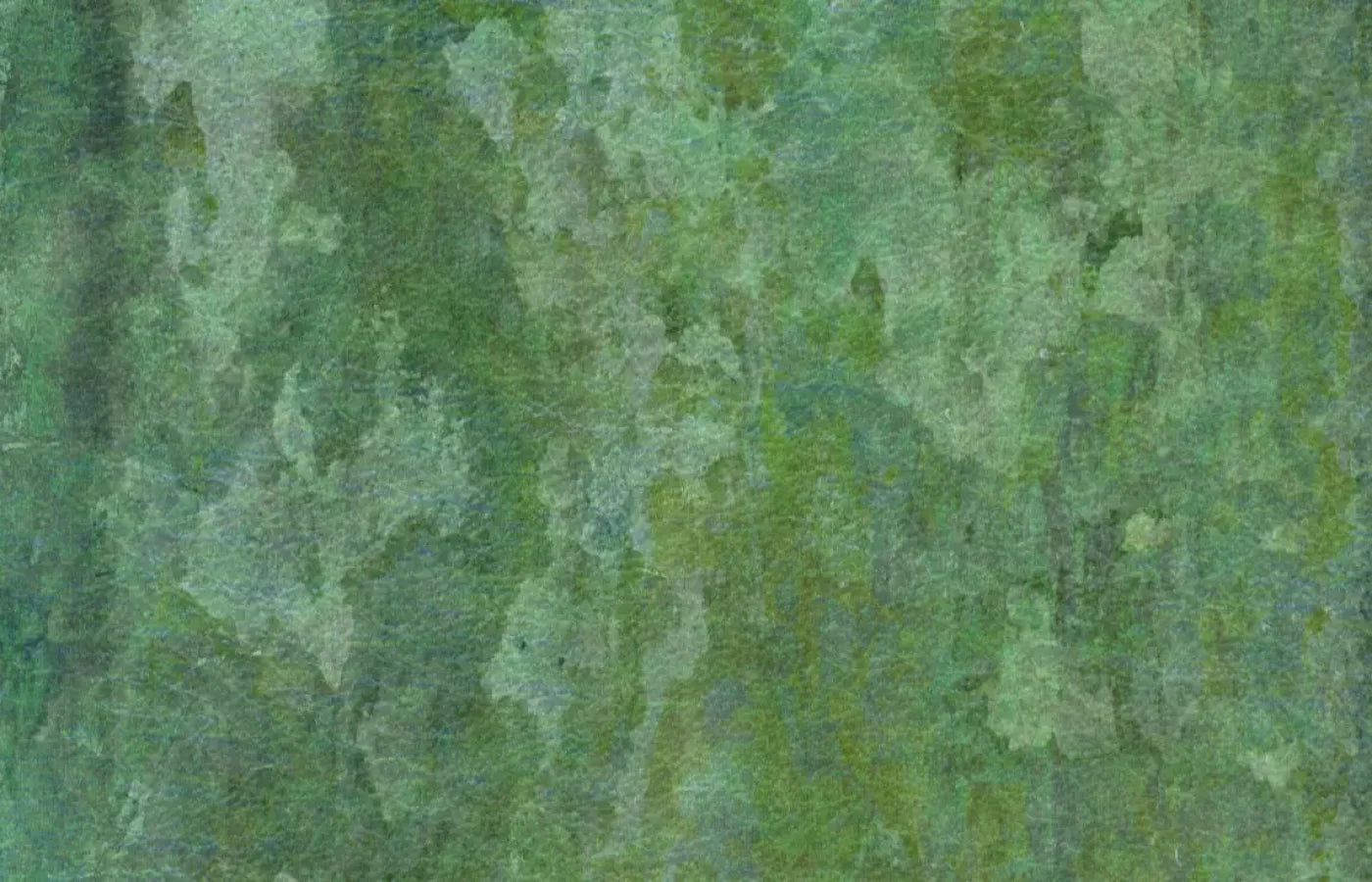 Hugo 12’X8’ Ultracloth (144 X 96 Inch) Backdrop