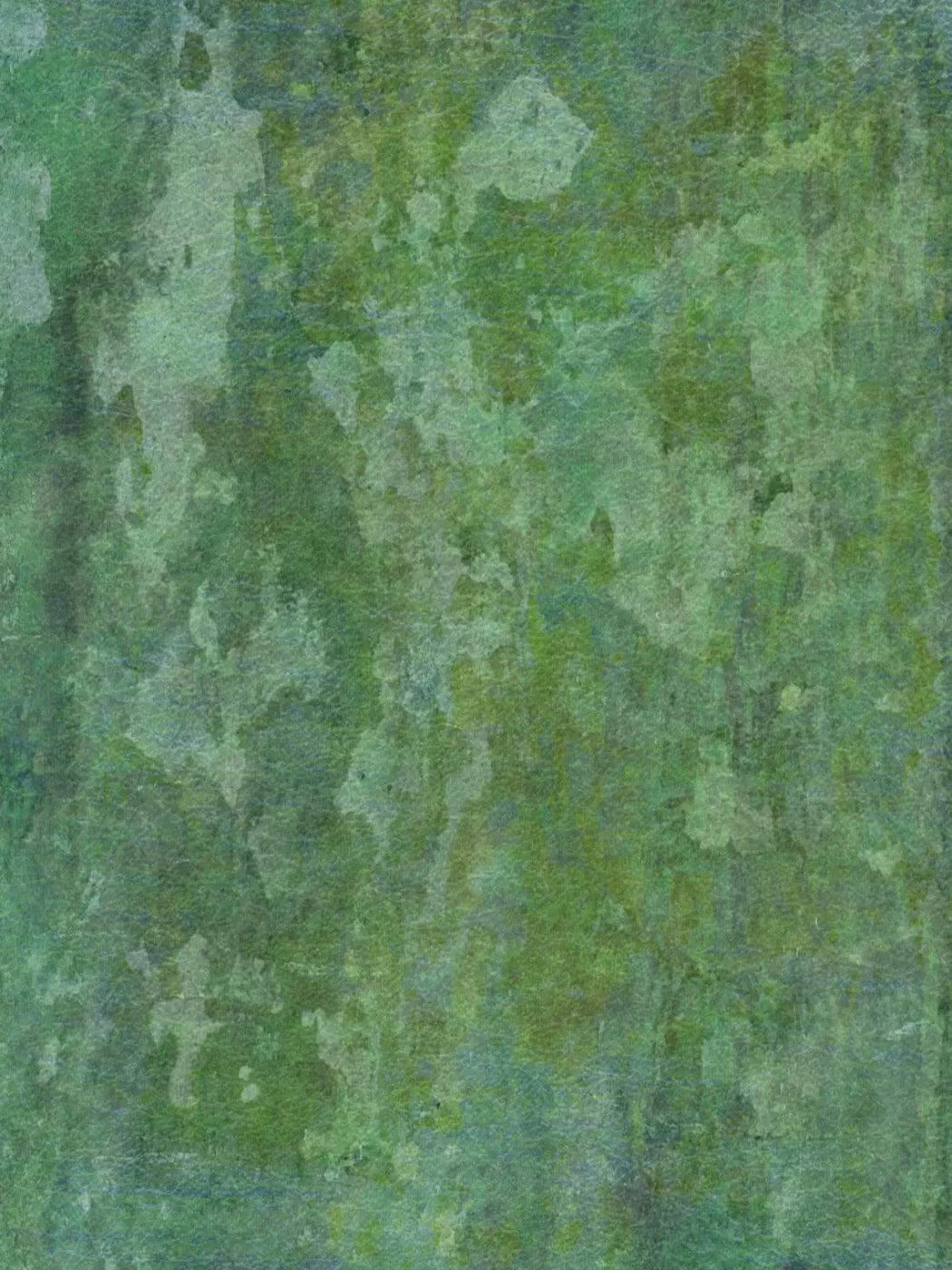 Hugo 8’X10’ Fleece (96 X 120 Inch) Backdrop
