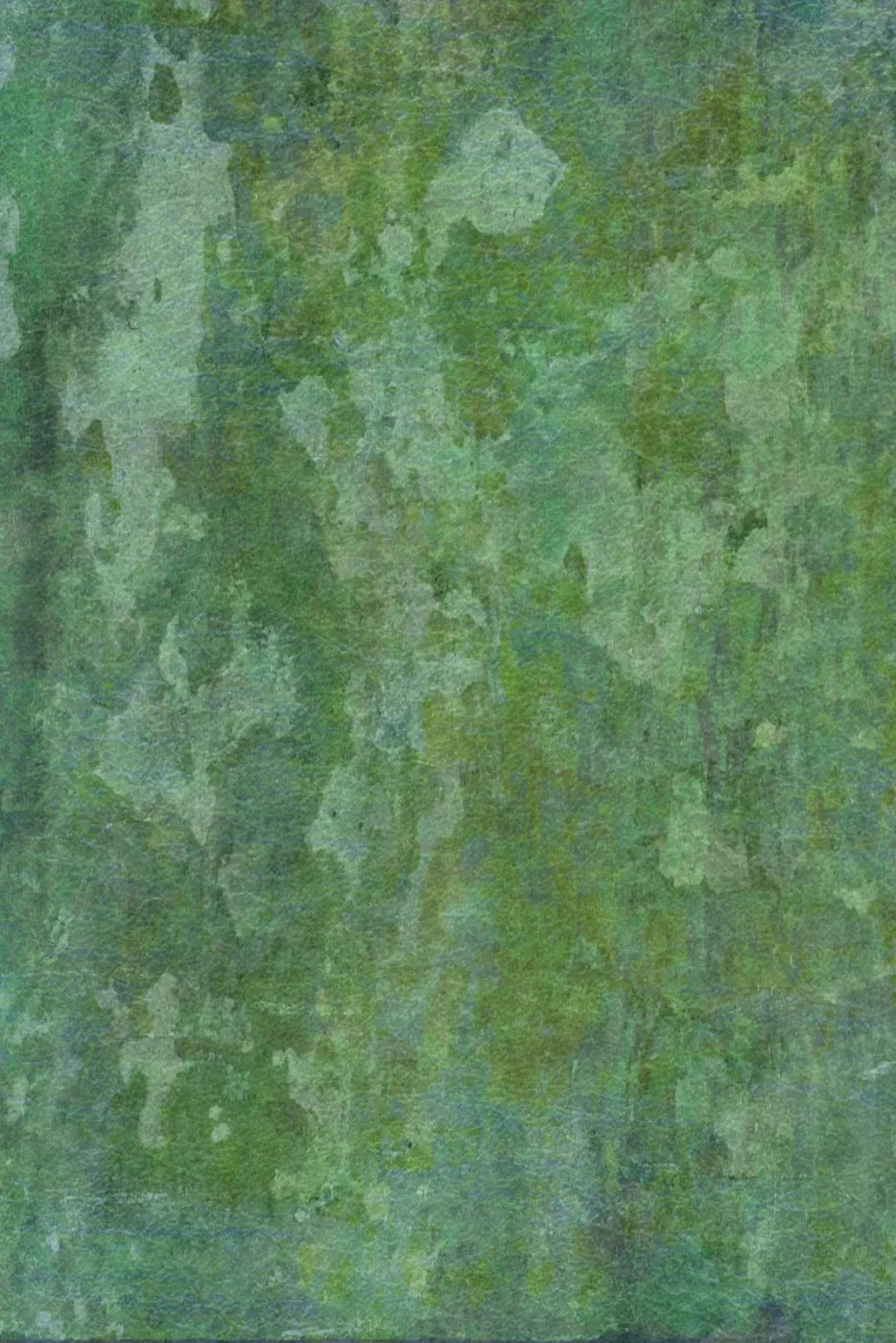 Hugo Backdrop