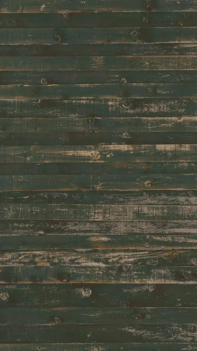 Hut 8X14 Ultracloth ( 96 X 168 Inch ) Backdrop