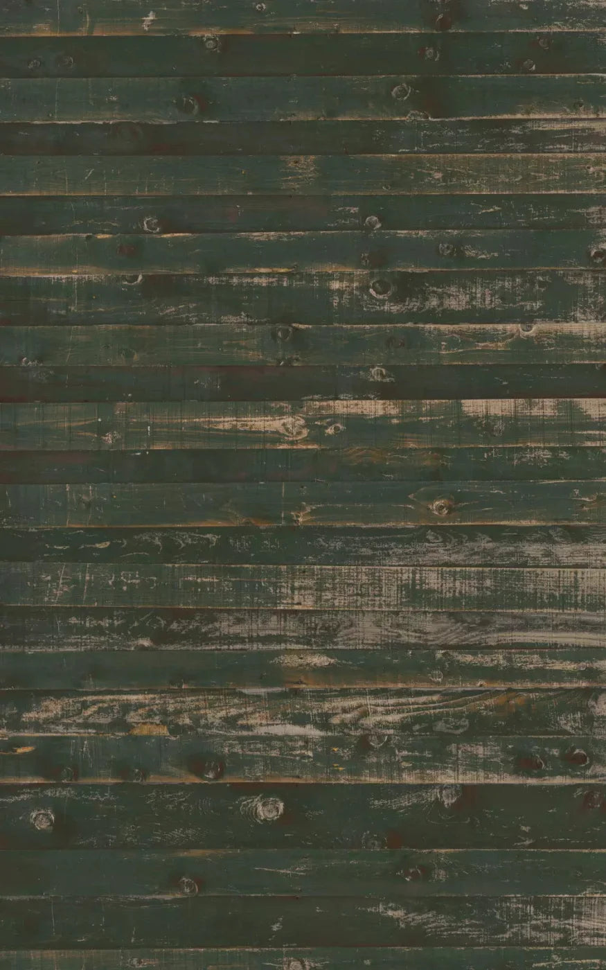 Hut 9X14 Ultracloth ( 108 X 168 Inch ) Backdrop