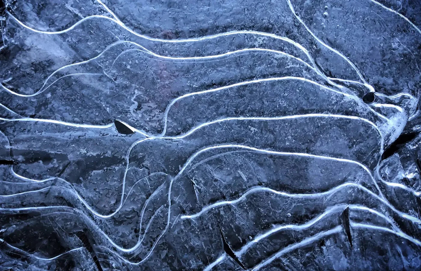 Icy Landscape 12X8 Ultracloth ( 144 X 96 Inch ) Backdrop