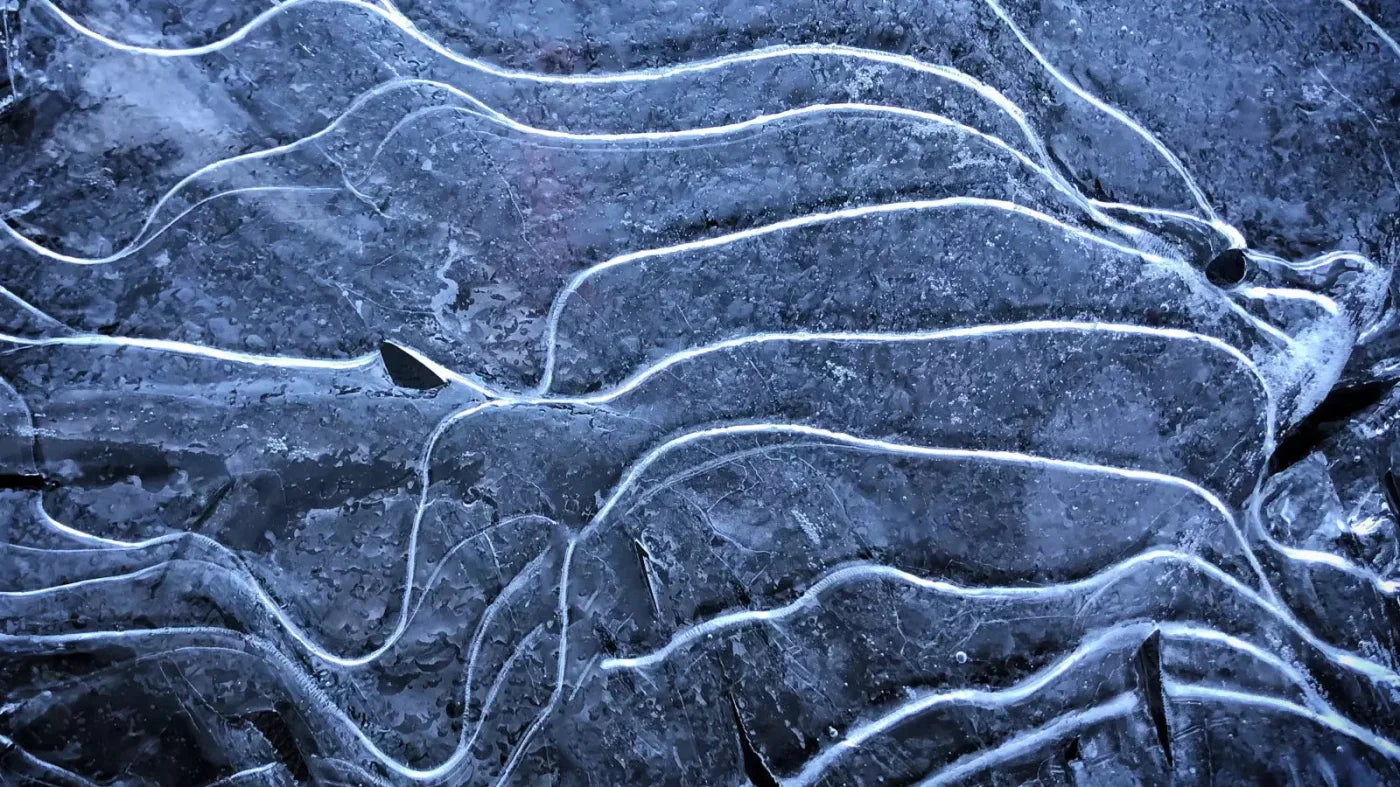 Icy Landscape 14X8 Ultracloth ( 168 X 96 Inch ) Backdrop