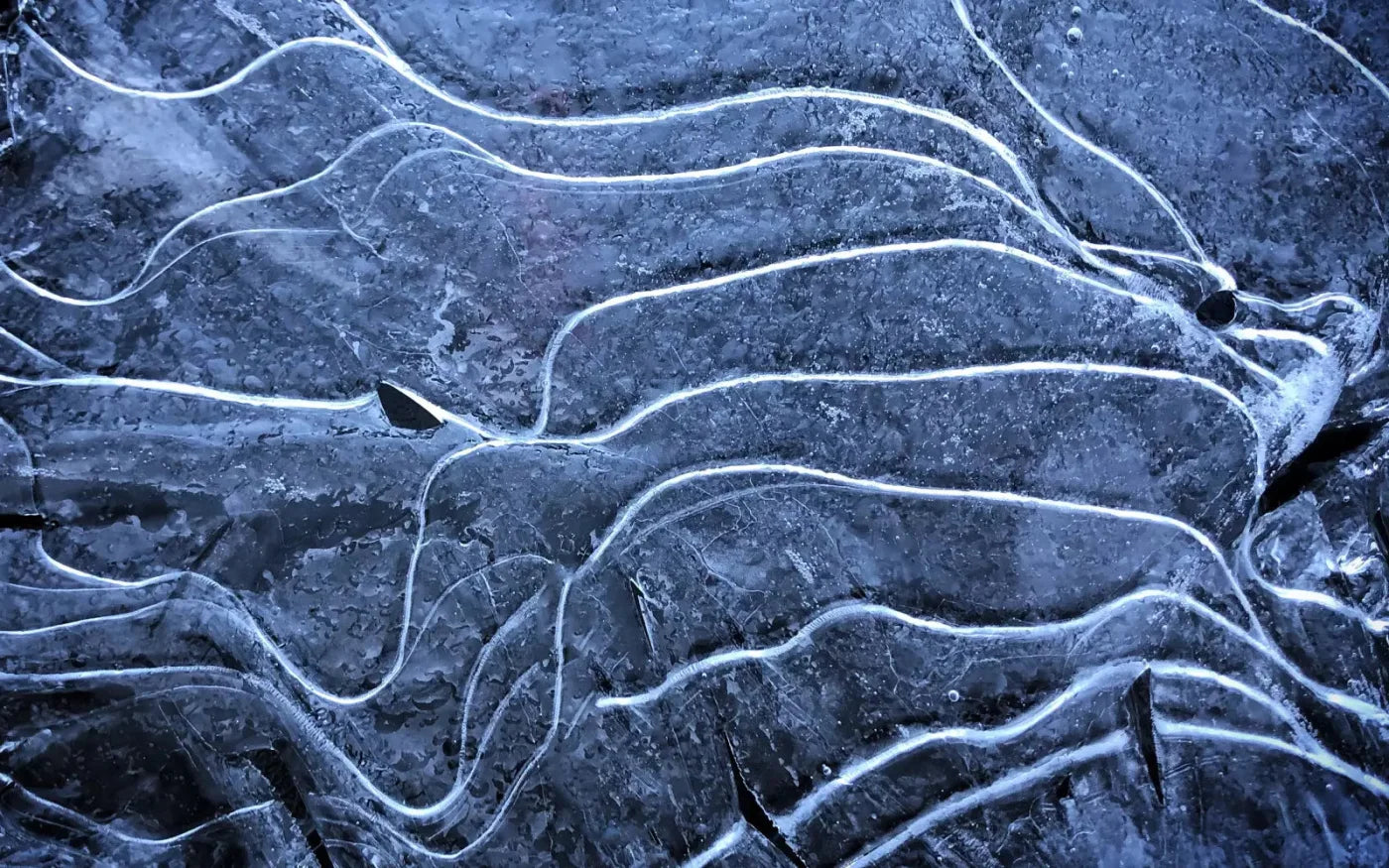 Icy Landscape 14X9 Ultracloth ( 168 X 108 Inch ) Backdrop