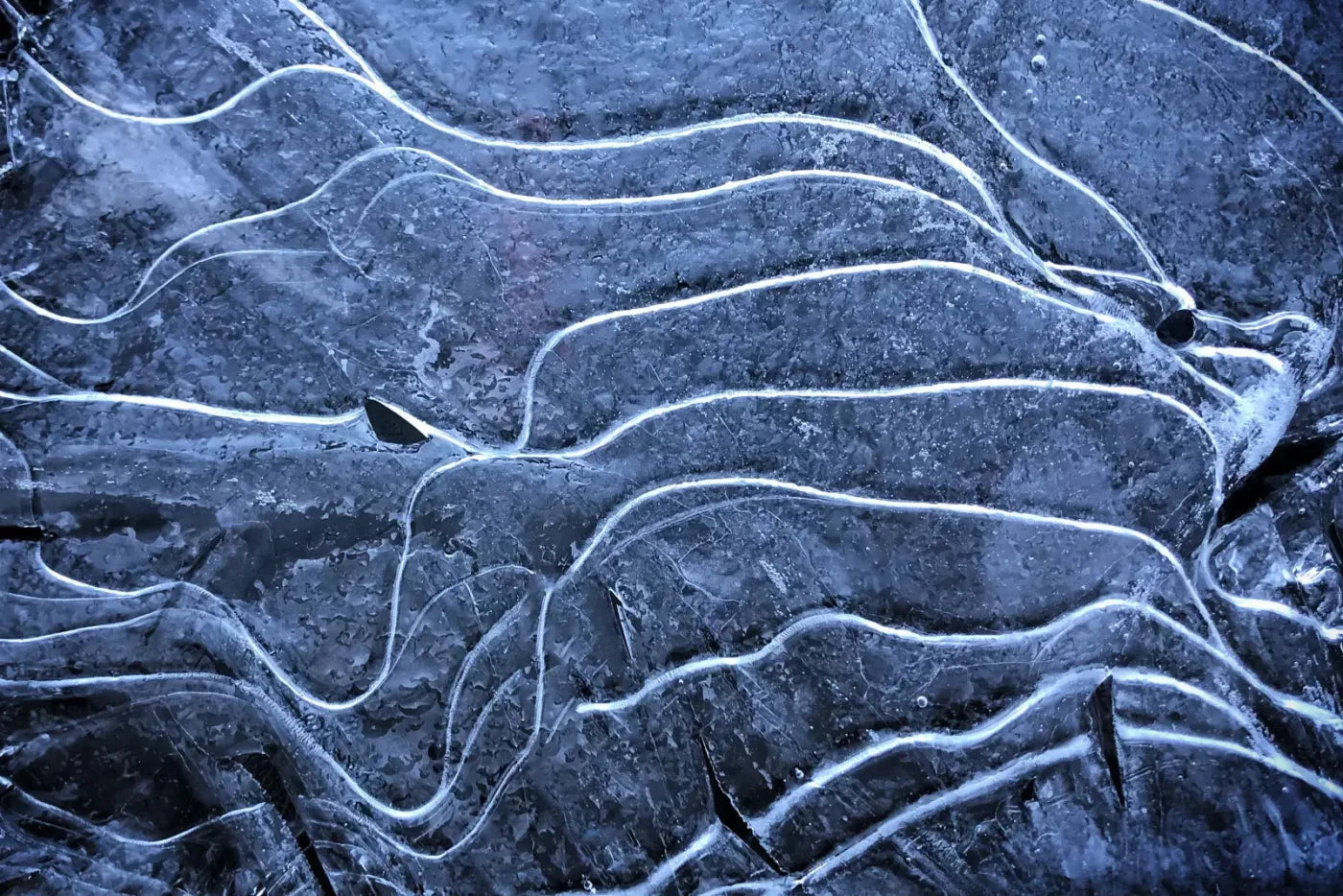 Icy Landscape 8X5 Ultracloth ( 96 X 60 Inch ) Backdrop