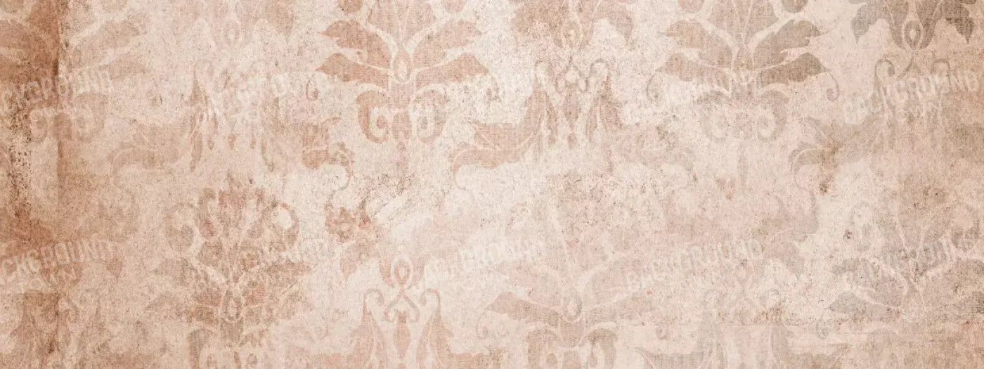 Imogen 20’X8’ Ultracloth (240 X 96 Inch) Backdrop