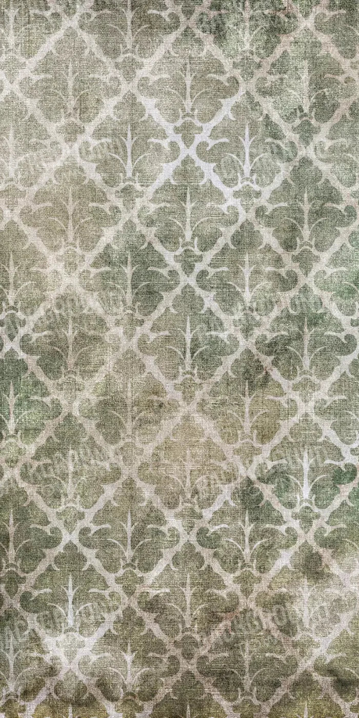 Impression 10X20 Ultracloth ( 120 X 240 Inch ) Backdrop