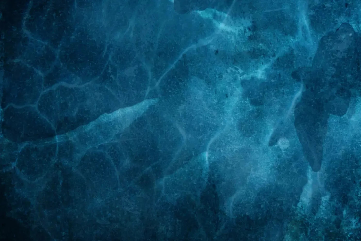 In The Deep Blue Backdrop