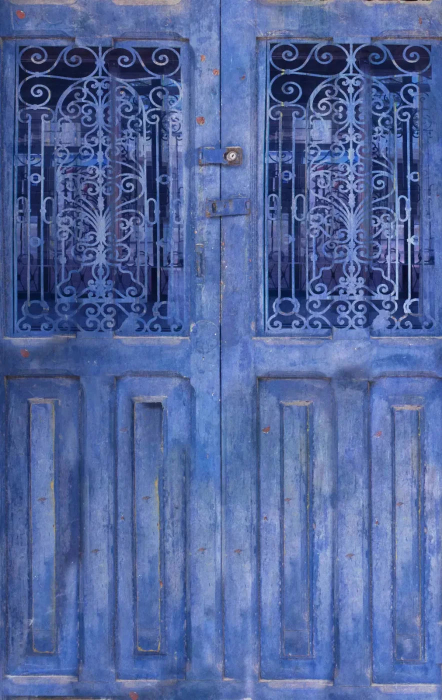 India Door2 10X16 Ultracloth ( 120 X 192 Inch ) Backdrop