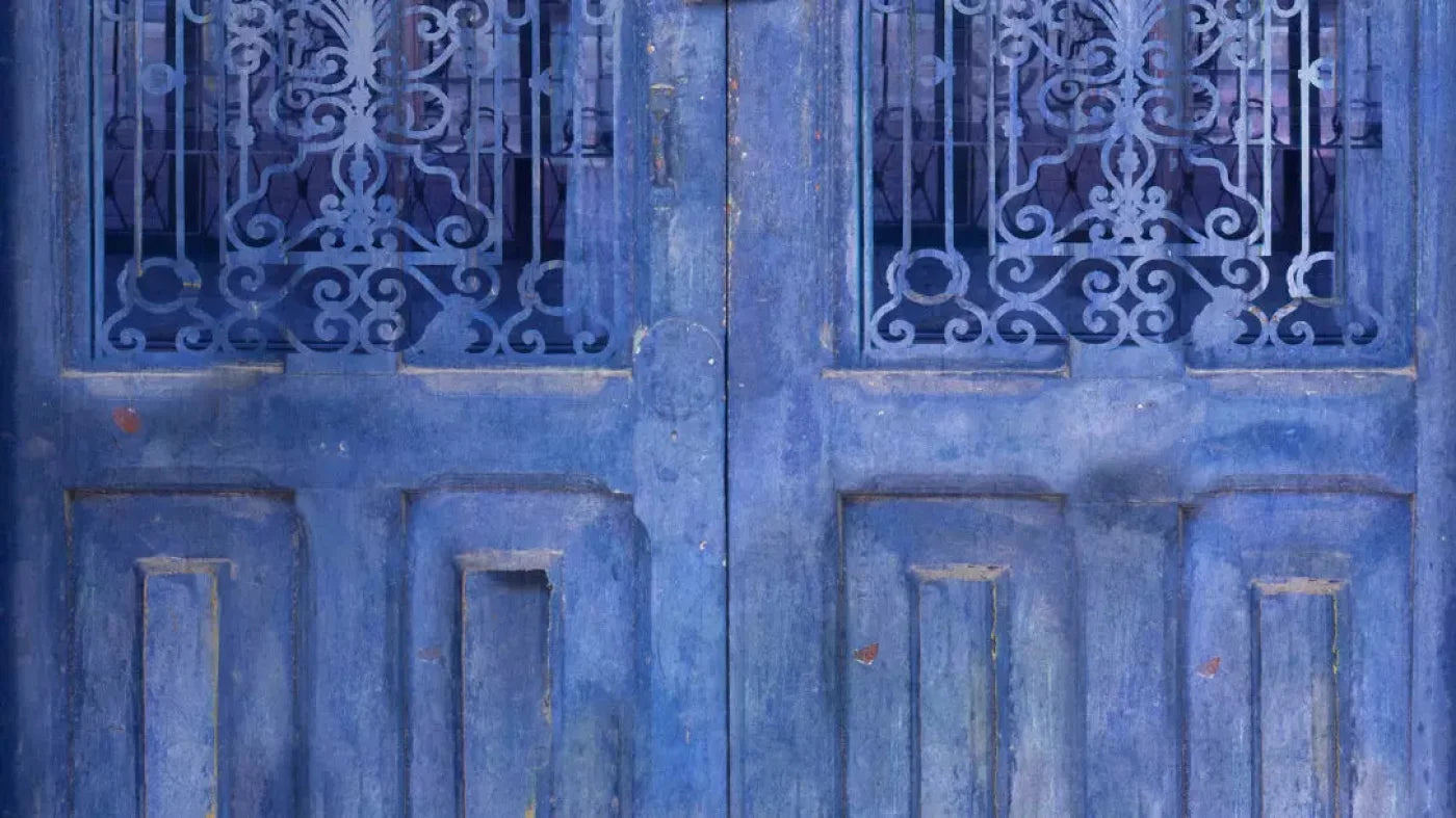 India Door2 14X8 Ultracloth ( 168 X 96 Inch ) Backdrop