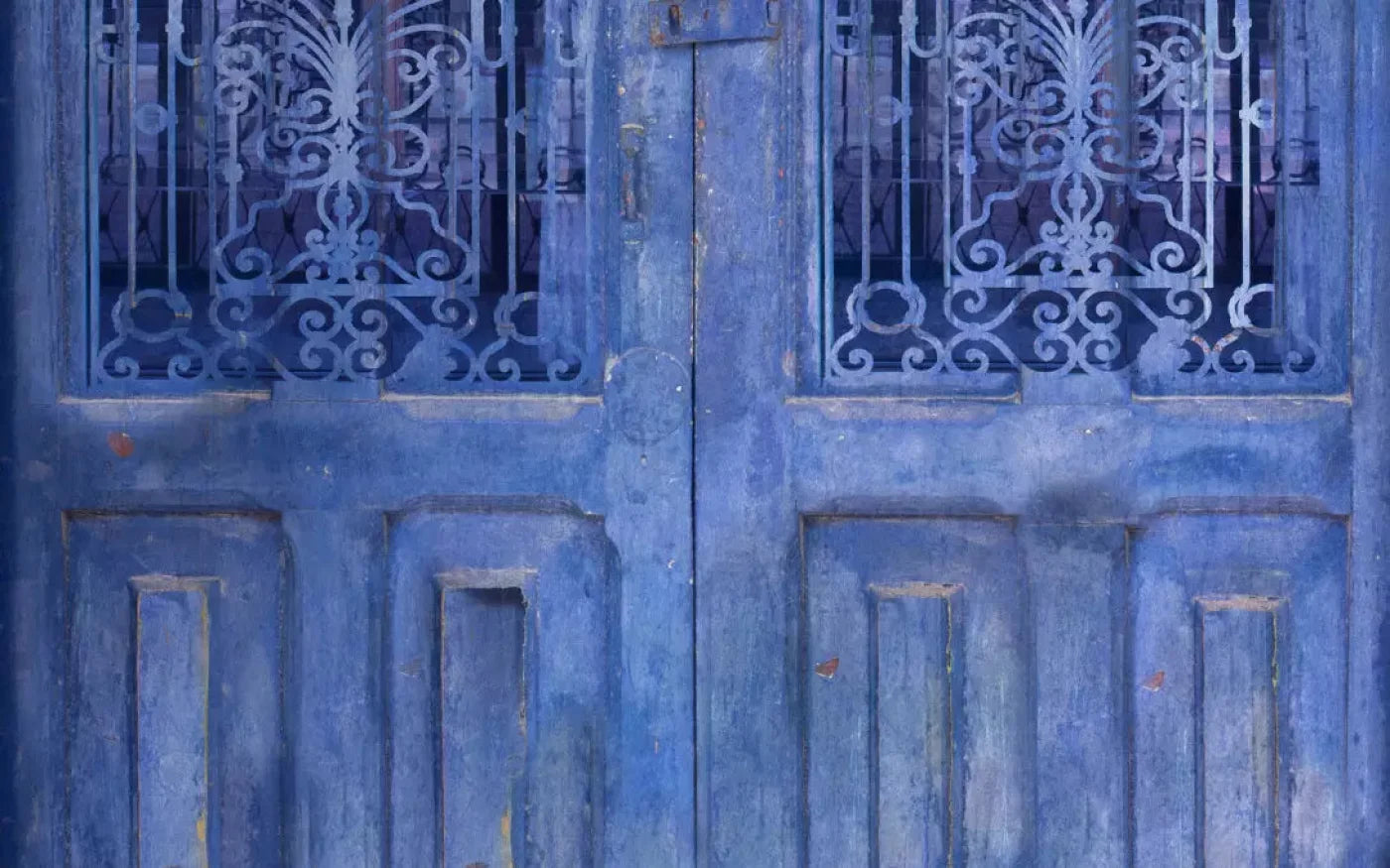 India Door2 14X9 Ultracloth ( 168 X 108 Inch ) Backdrop