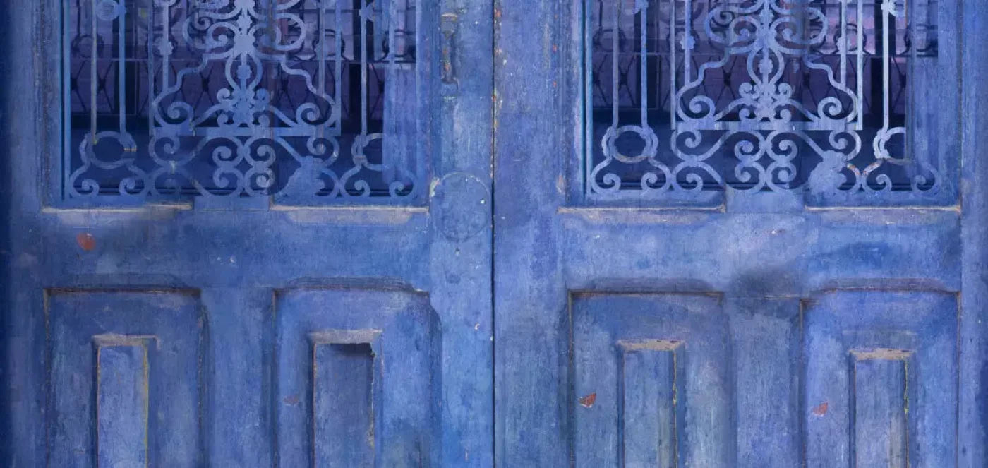India Door2 16X8 Ultracloth ( 192 X 96 Inch ) Backdrop