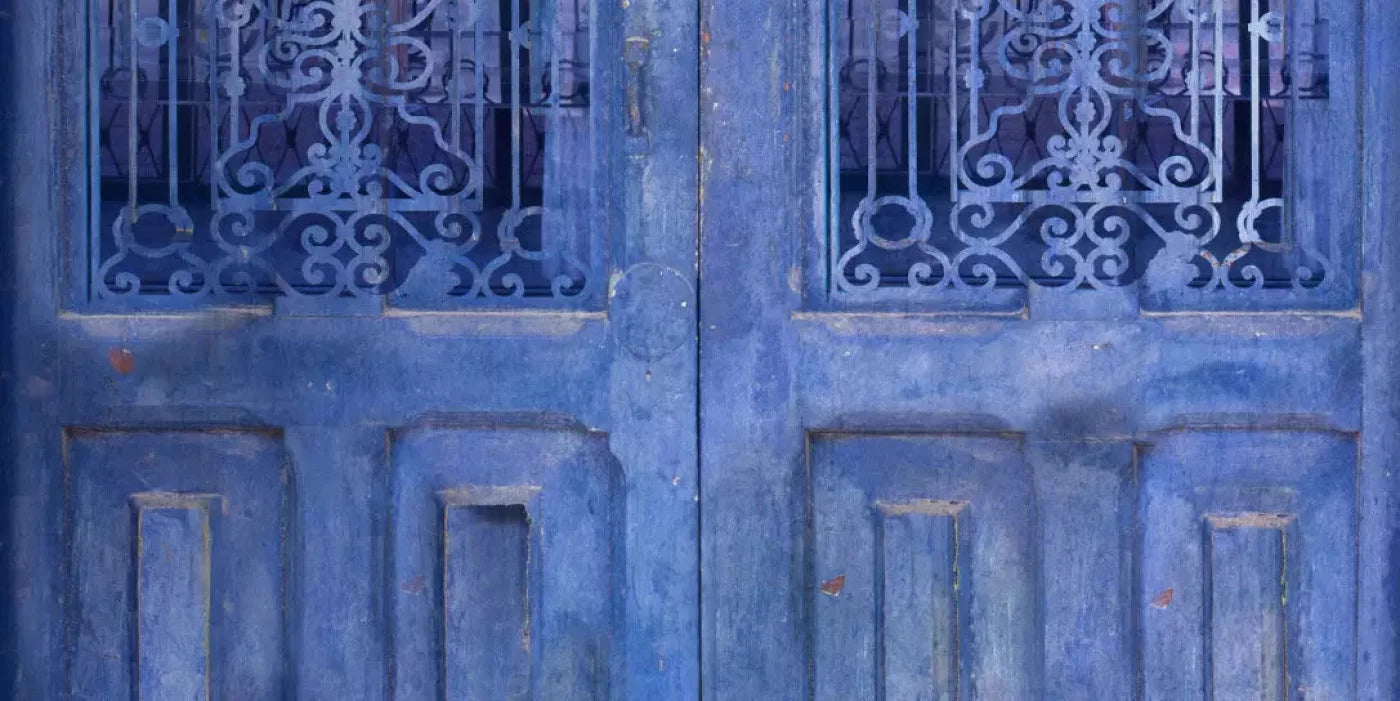 India Door2 20X10 Ultracloth ( 240 X 120 Inch ) Backdrop
