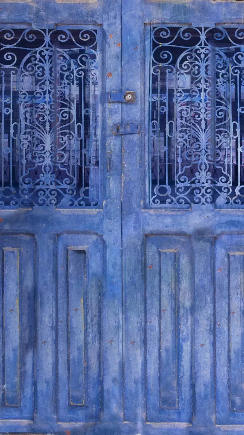 India Door2 8X14 Ultracloth ( 96 X 168 Inch ) Backdrop