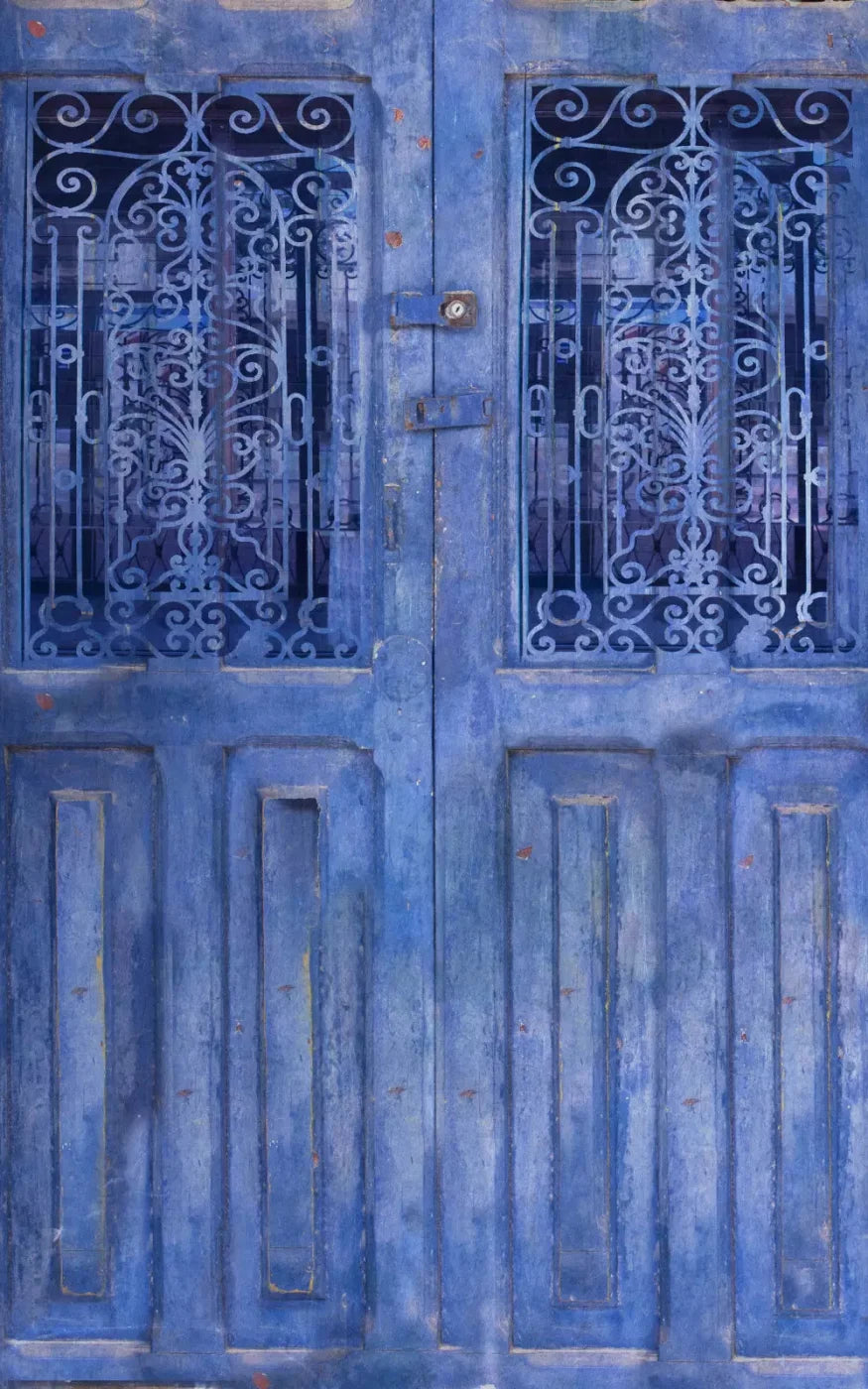 India Door2 9X14 Ultracloth ( 108 X 168 Inch ) Backdrop