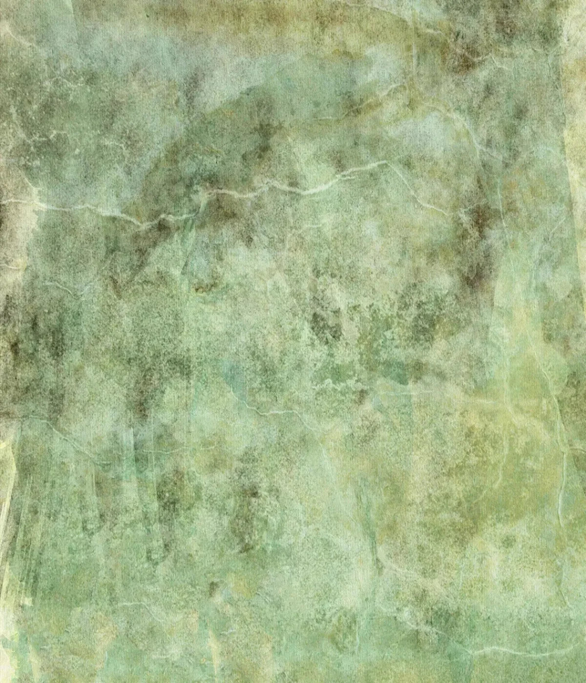 Intent2 10X12 Ultracloth ( 120 X 144 Inch ) Backdrop
