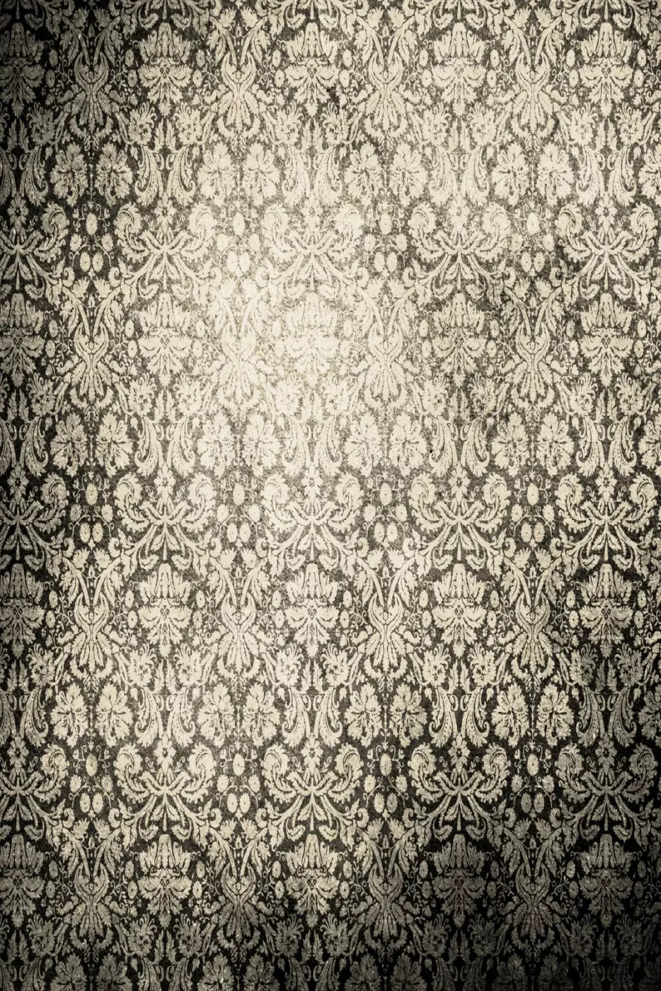 Intrigue 5X8 Ultracloth ( 60 X 96 Inch ) Backdrop