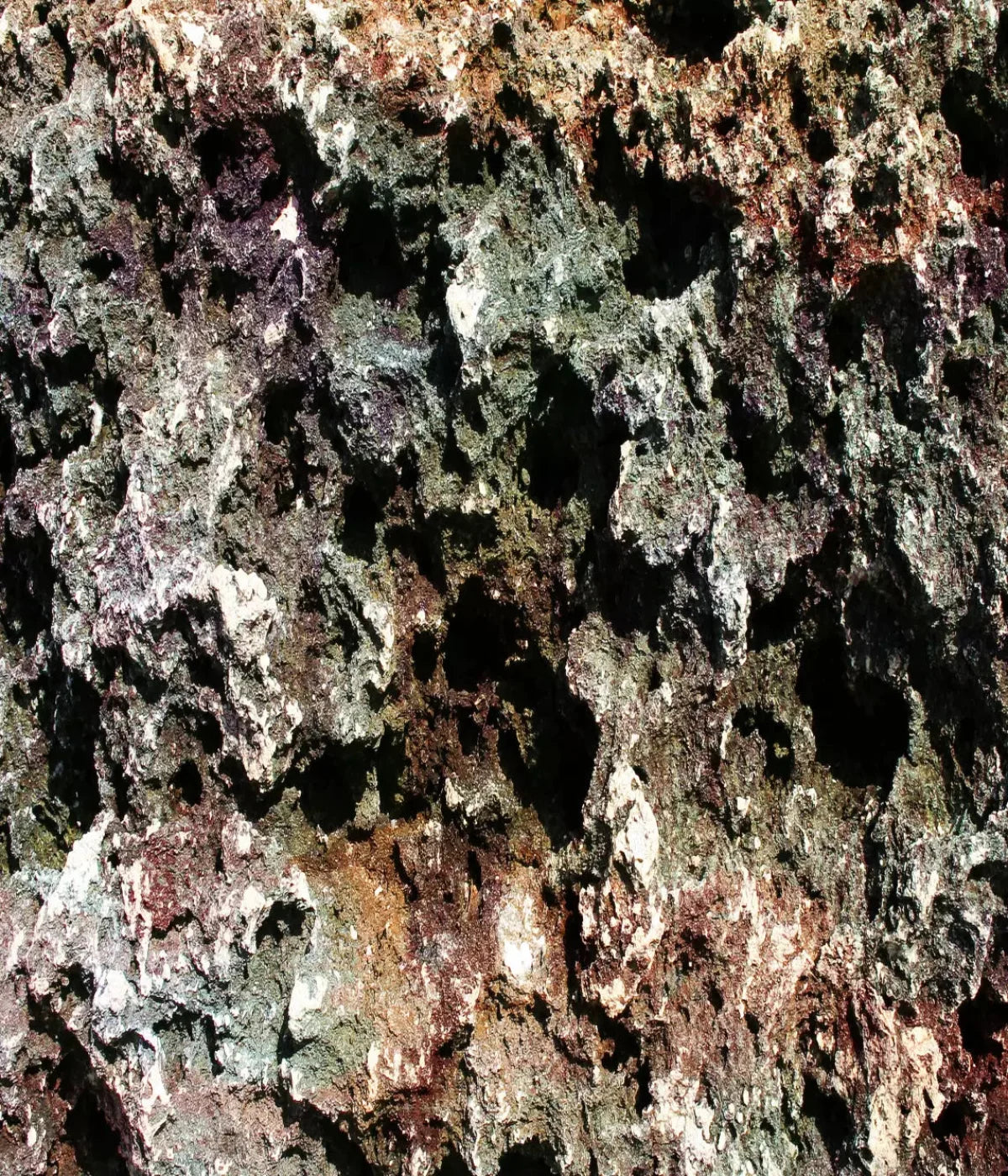 Irk 10X12 Ultracloth ( 120 X 144 Inch ) Backdrop