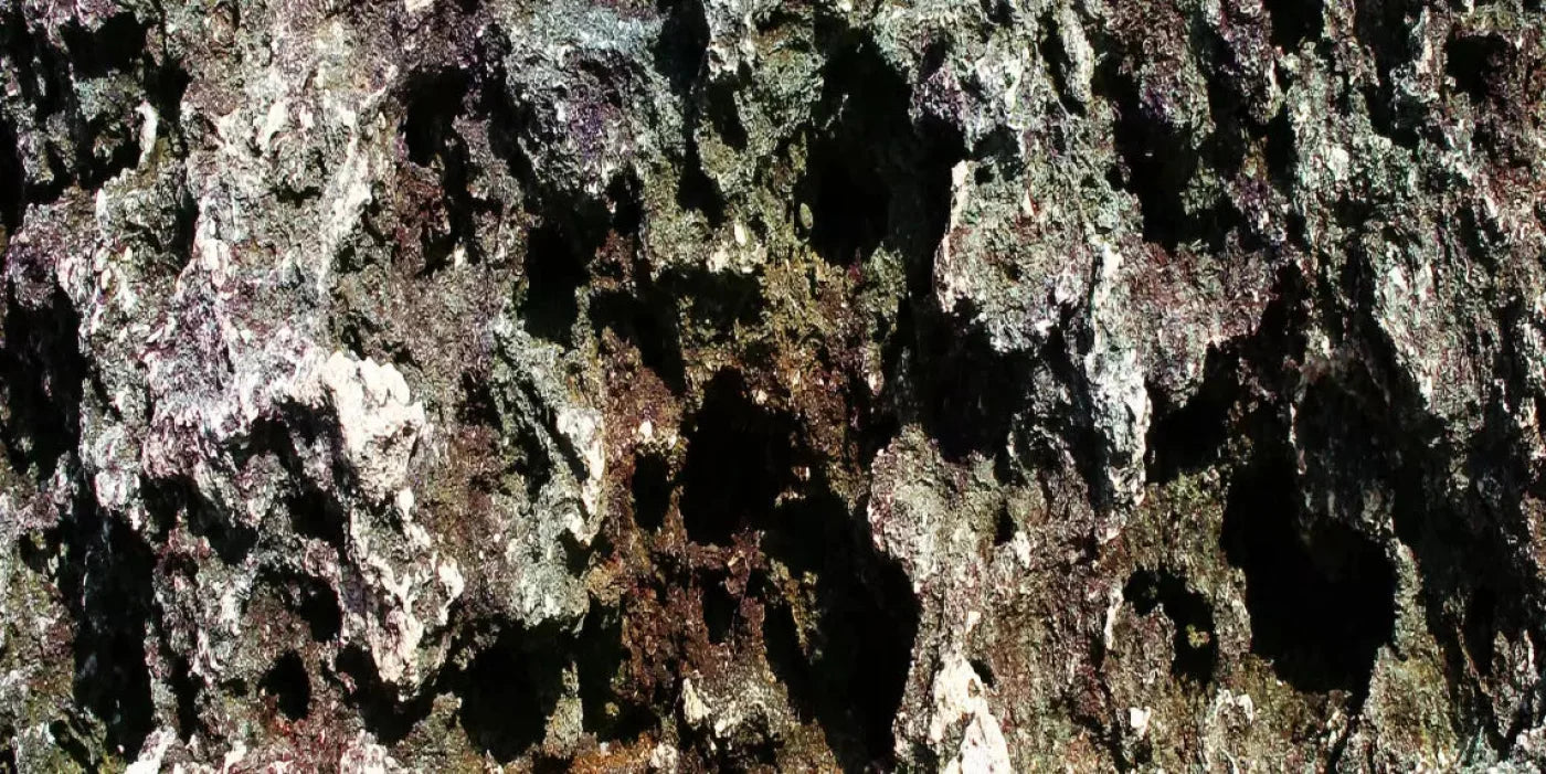 Irk 20X10 Ultracloth ( 240 X 120 Inch ) Backdrop