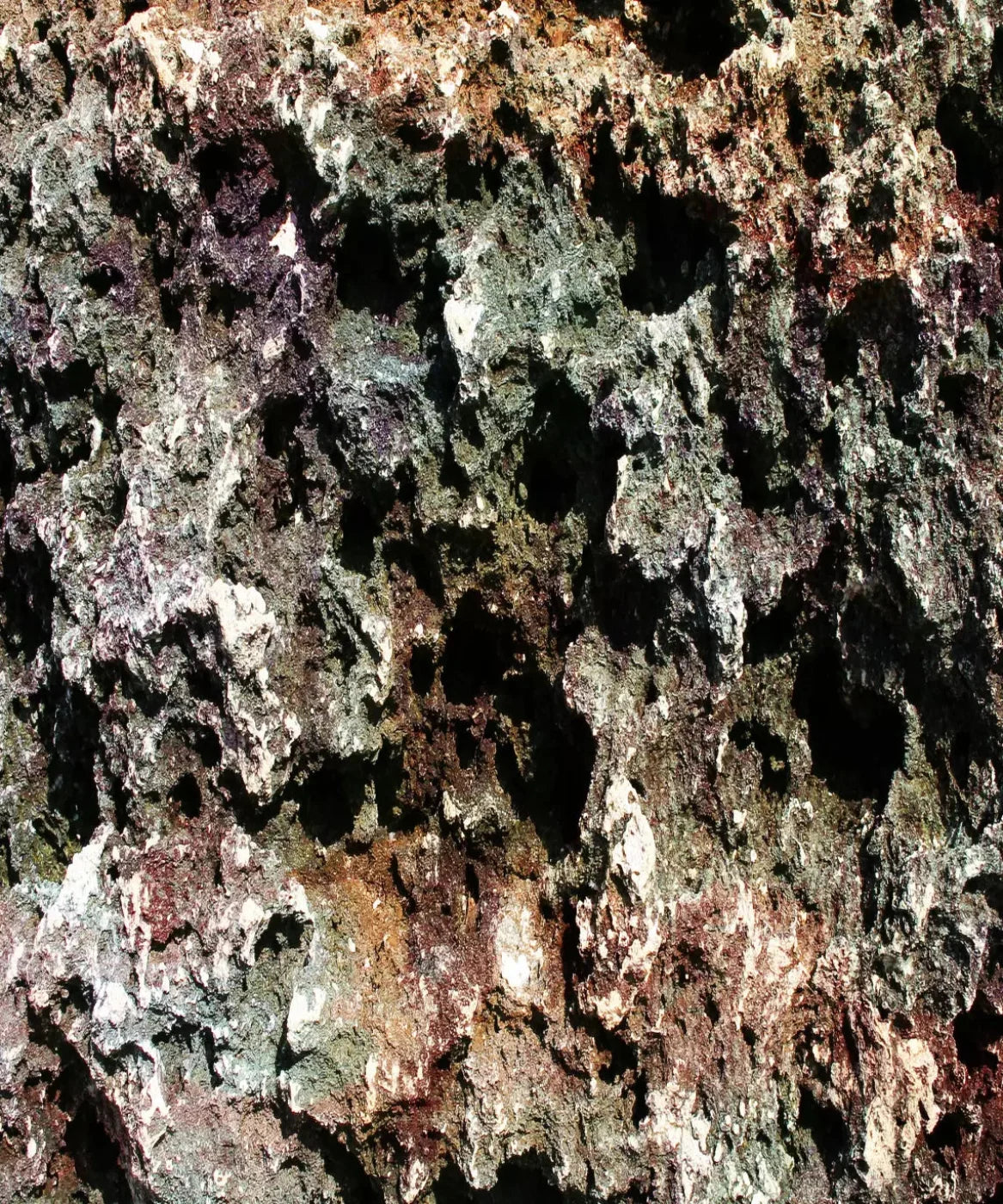 Brown Urban Grunge Backdrop for Photography