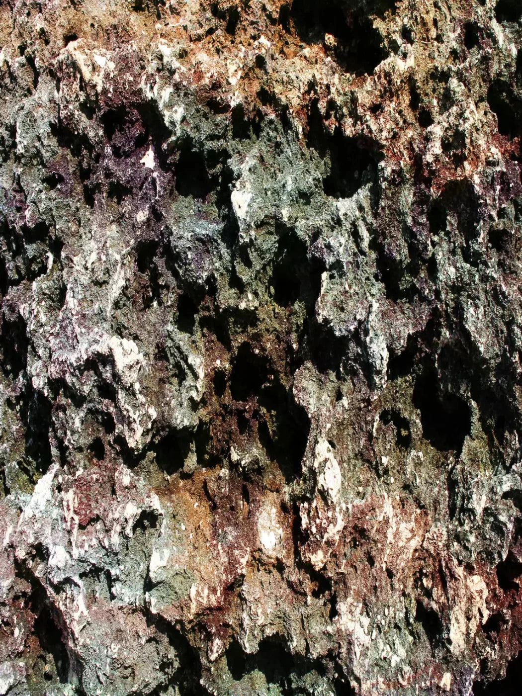 Irk 5X68 Fleece ( 60 X 80 Inch ) Backdrop