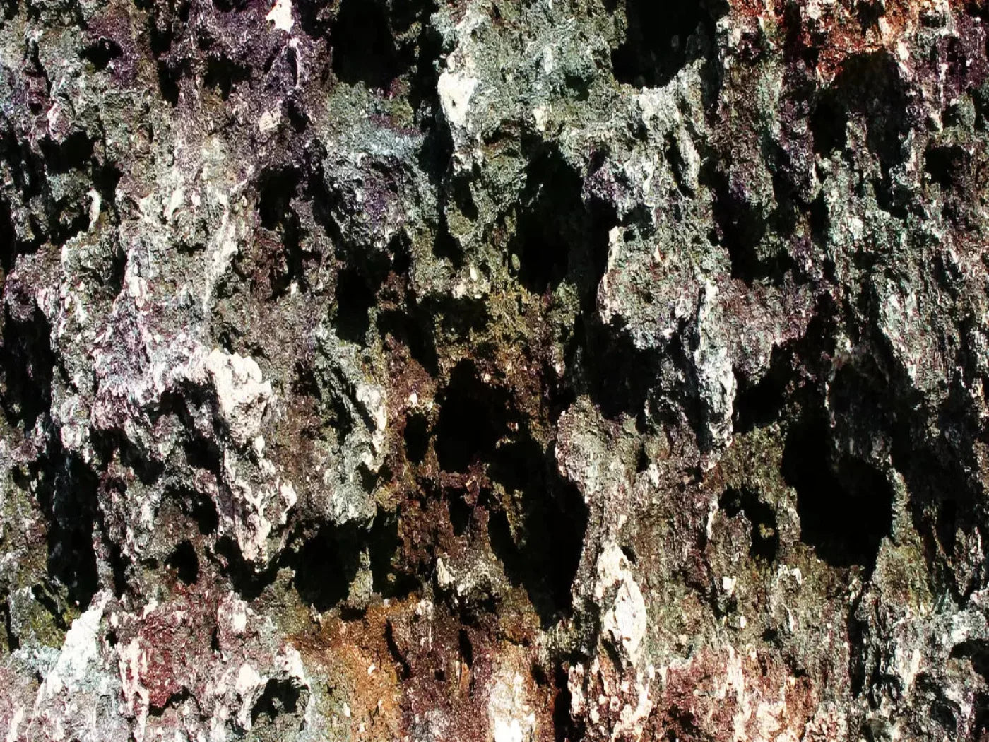 Irk 7X5 Ultracloth ( 84 X 60 Inch ) Backdrop